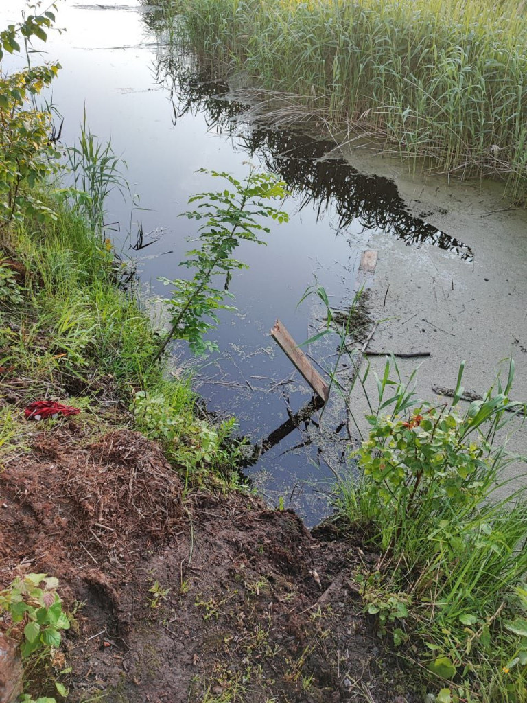 Фото: пресс-служба прокуратуры Ленобласти 