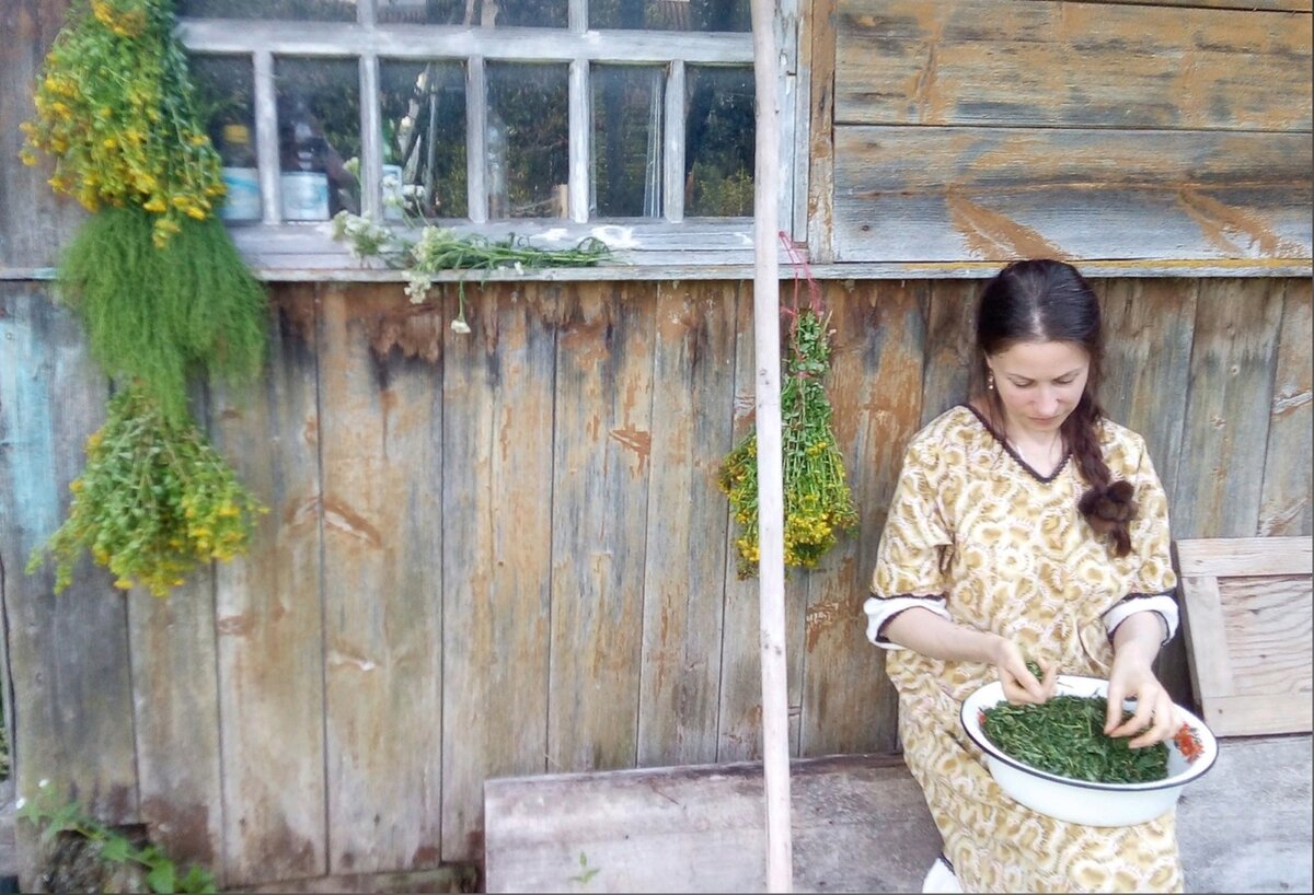 Фото автора. Заготовка Иван-чая.