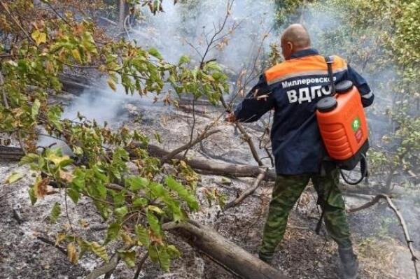 Источник фото: donland.ru 