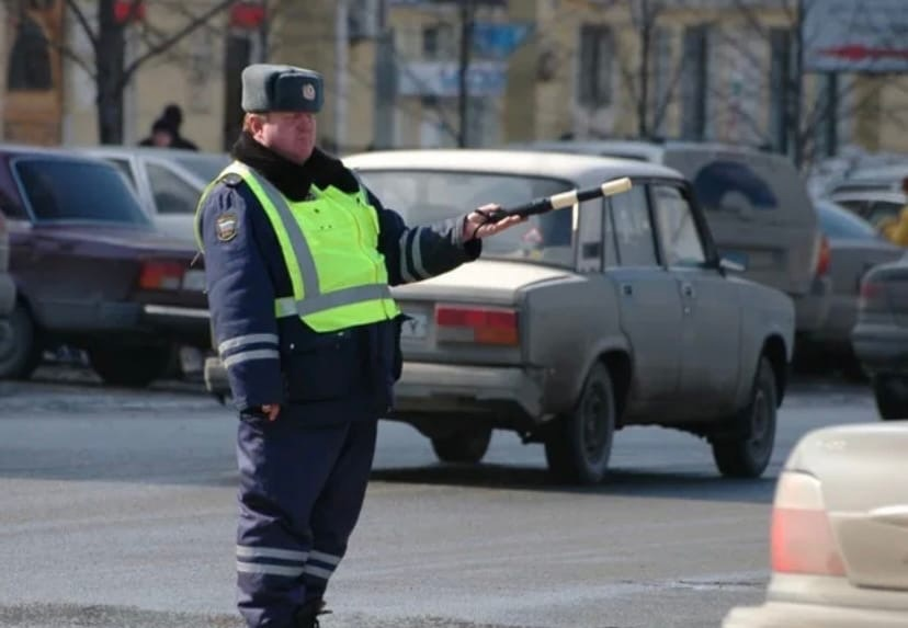 В Краснодаре таких красавцев много. А у нас в Волгограде редко когда встретишь