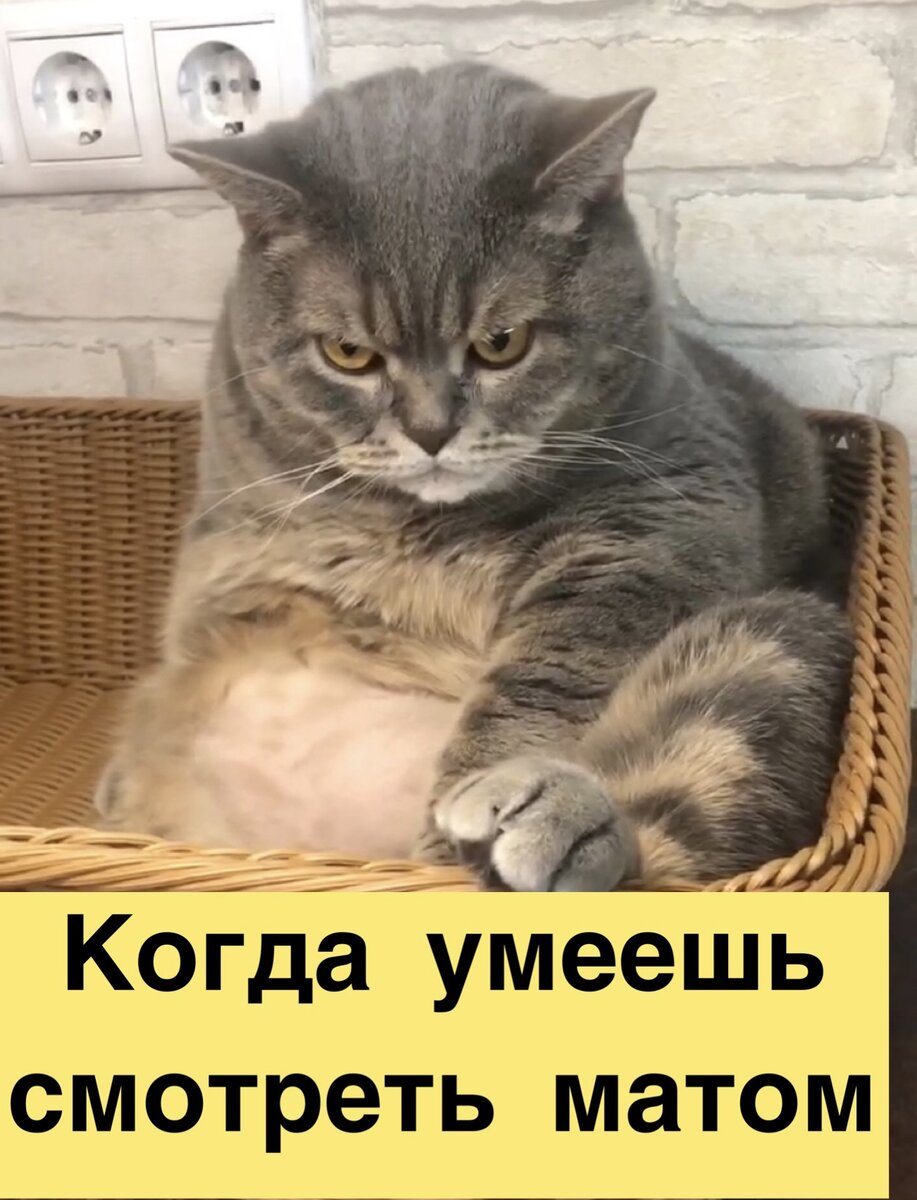 Талант? Согласны?
