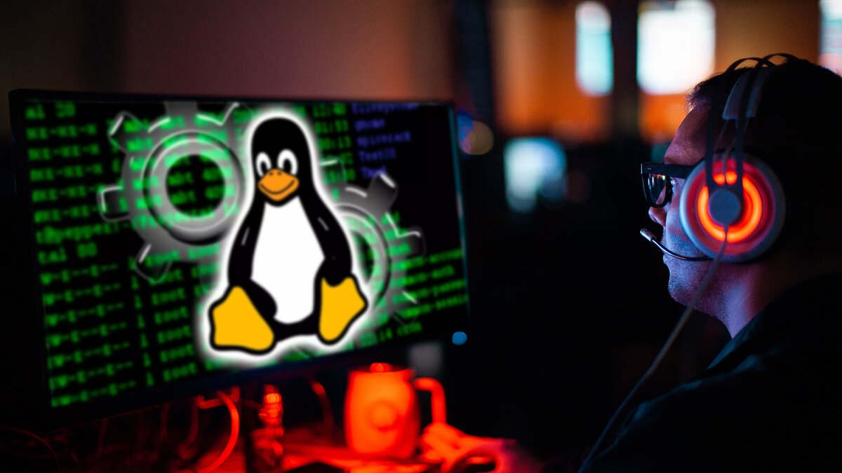 Как геймер установил Linux и остался доволен | Блог системного  администратора | Дзен