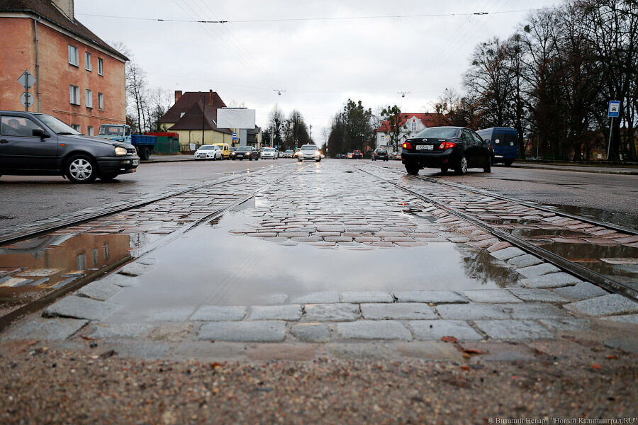 Фото: Виталий Невар / Новый Калининград