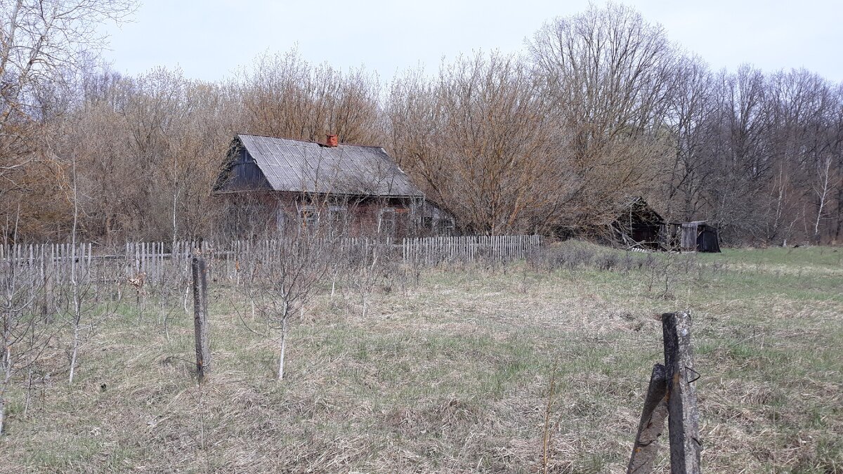 Павлово крюки деревня.