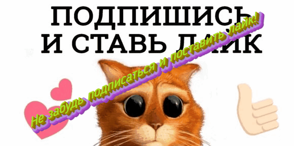 Не расстраивай котика! #призыв
