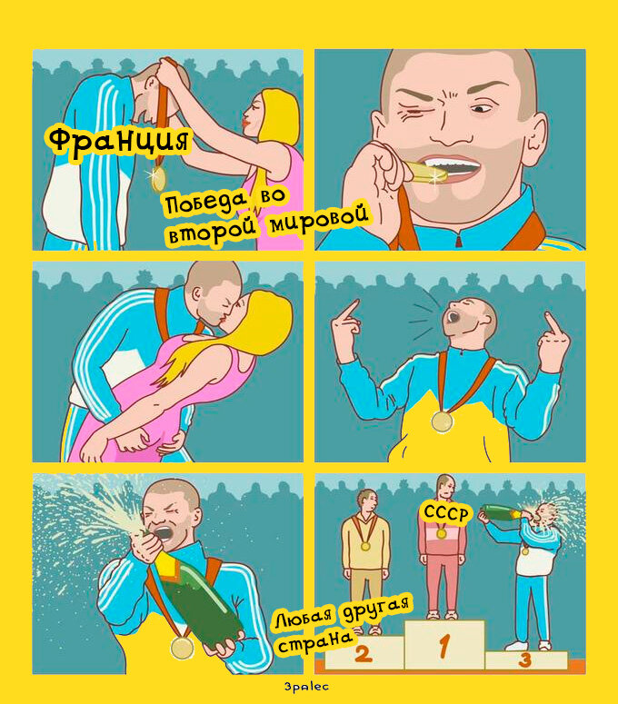 Франция и её неоценимый вклад в общее дело.