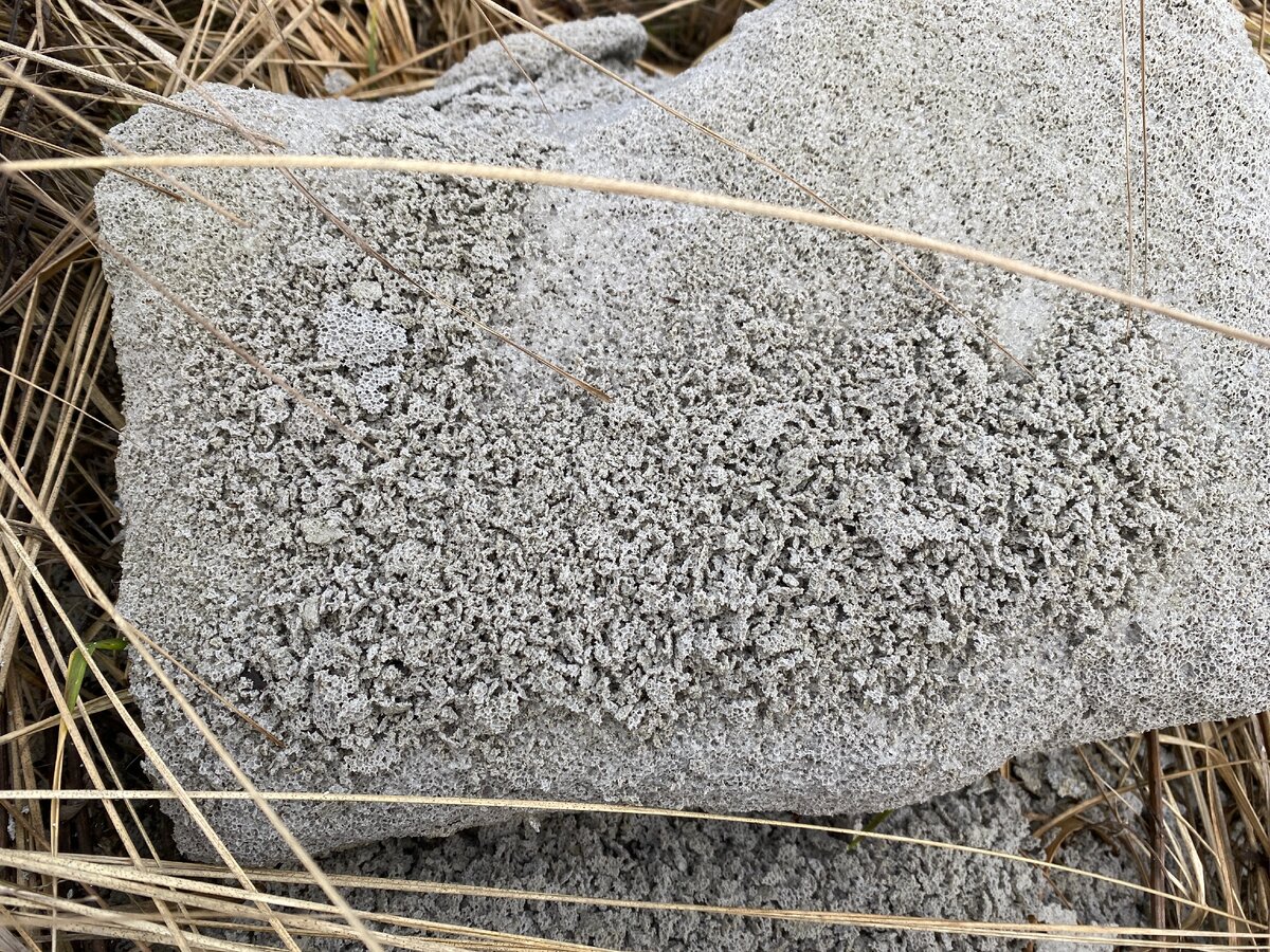 Блок будто изъеден термитами.