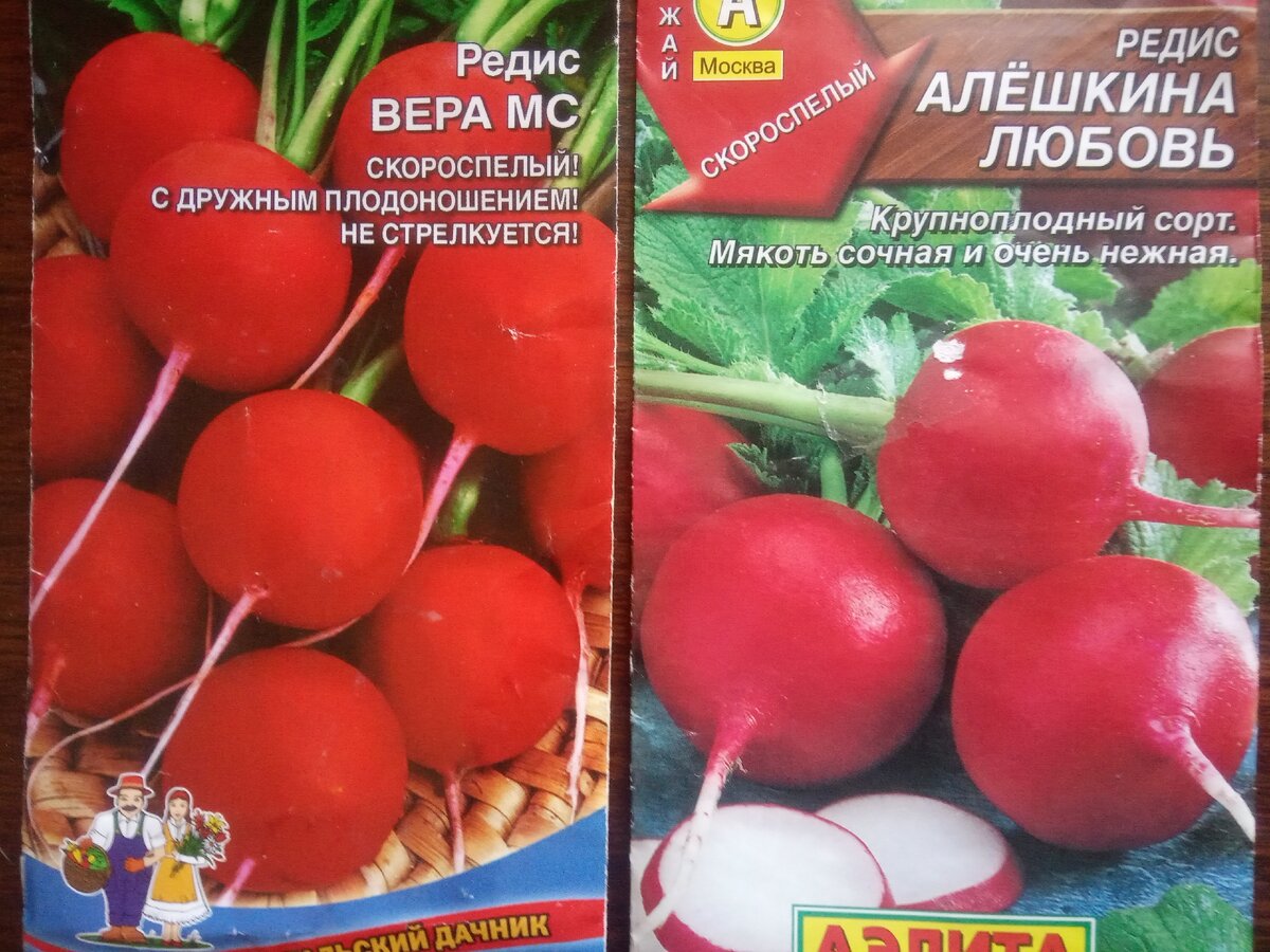 Редис Агрофирма Партнер Морковь, редис, лук, свекла - купить по выгодным ценам в