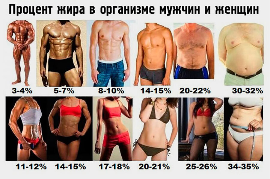 Как узнать и снизить процент жира в организме. Основные принципы для ...