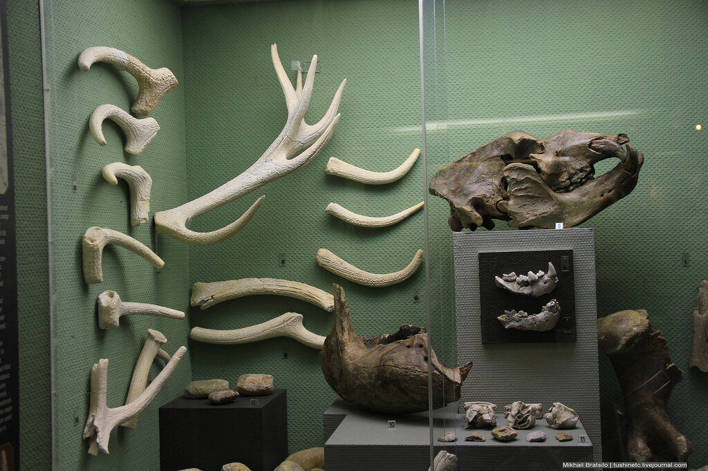 01. Палеолит

