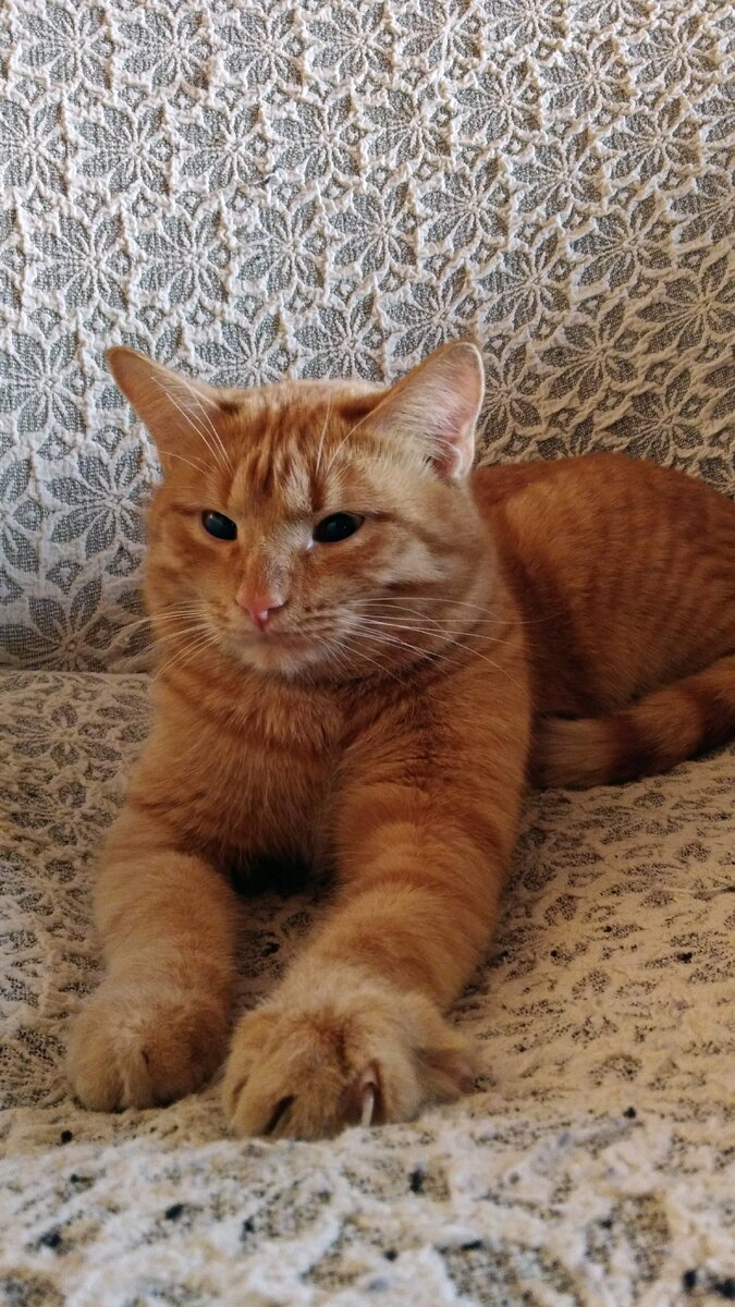 Фото: Анастасия Петрова