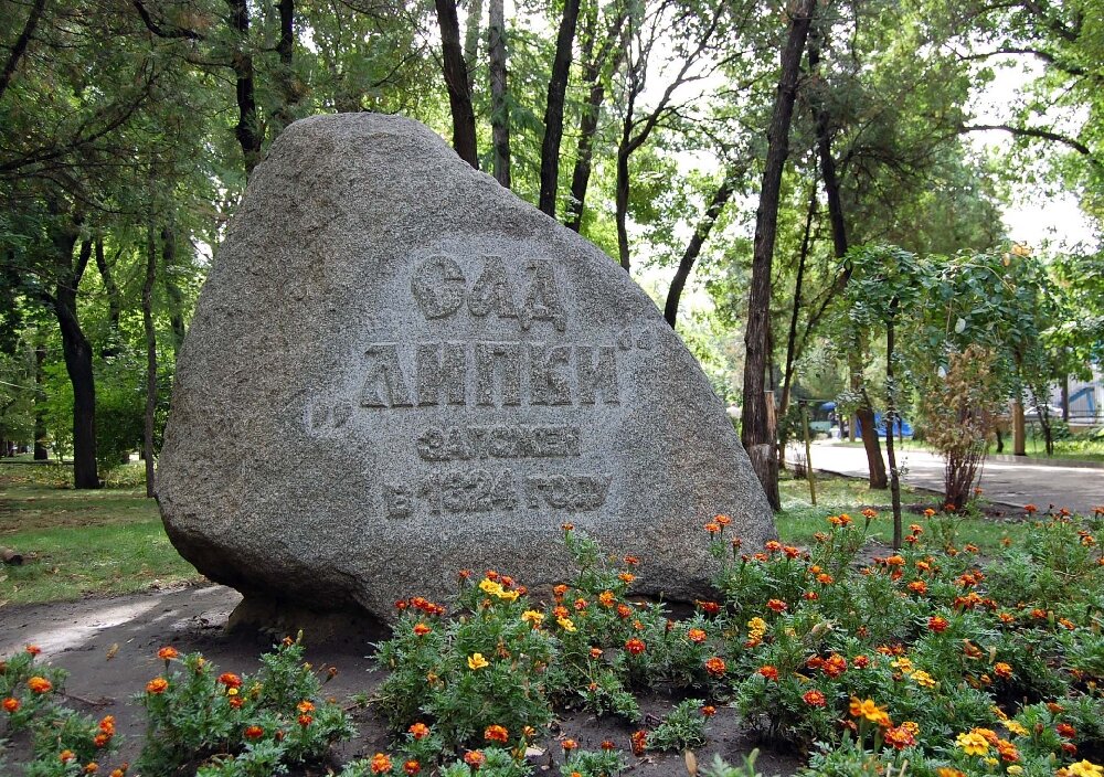 Сад липки саратов сад липки фото