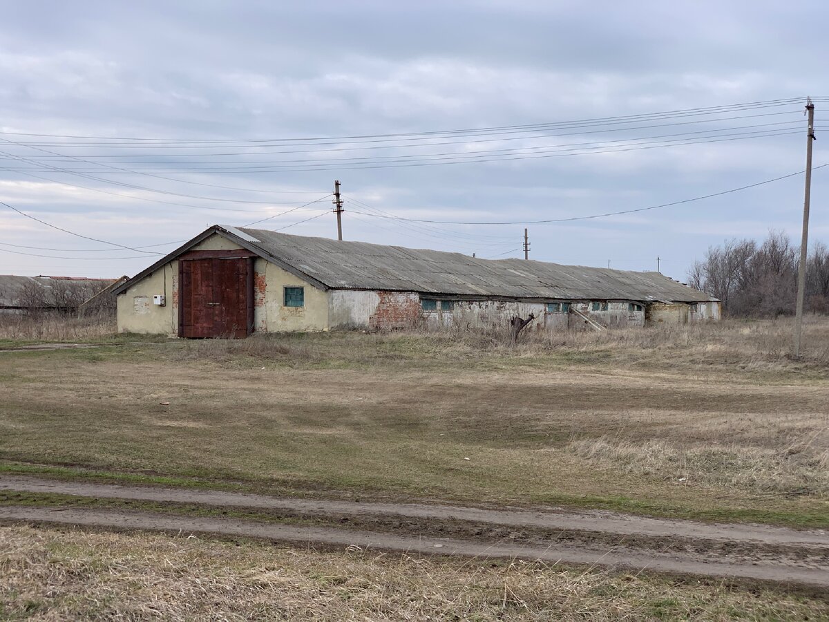 Неопубликованные фото из поездки в деревню. О наболевшем