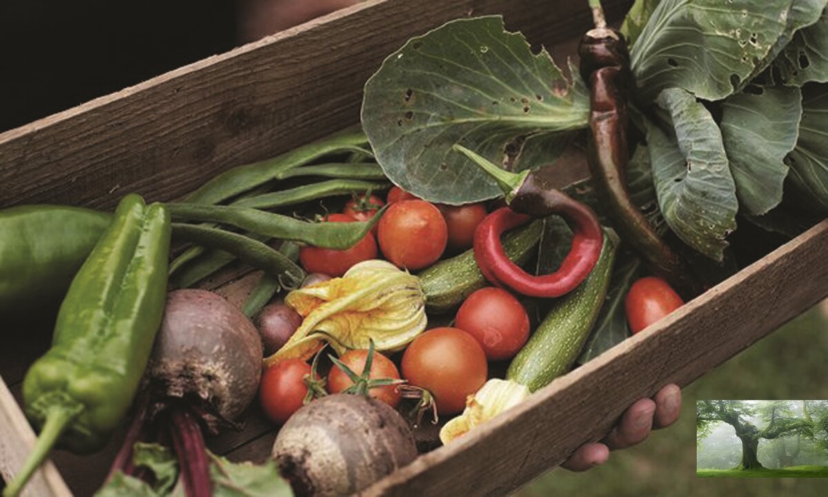 Базовые советы для тех кто хочет начать.