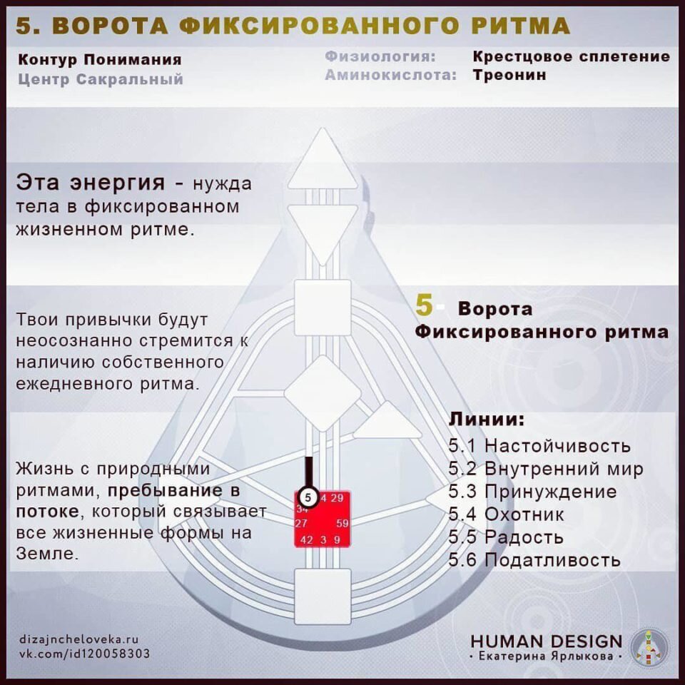 Карта по дизайну человека