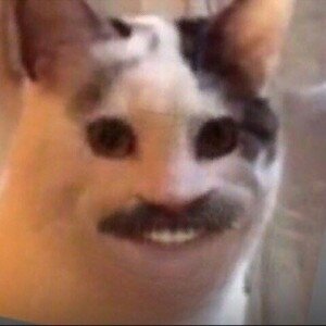 Хорошего дня 