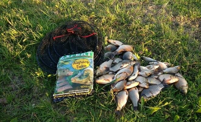 Фото с яндекс.картинок 
