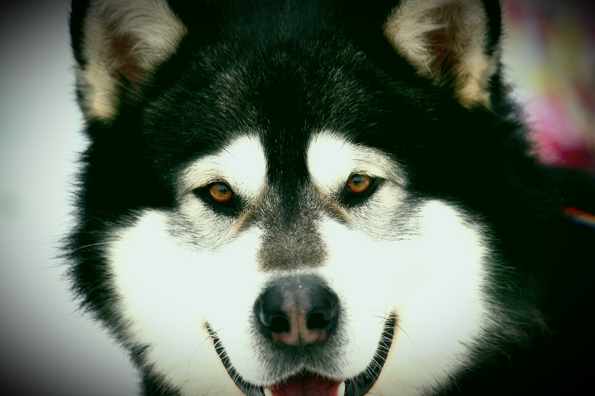 Просто прелесть...