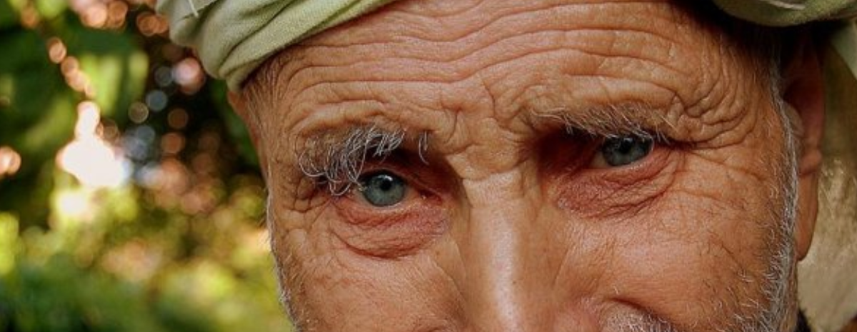 фото из интернет просторов. Кавказский долгожитель.