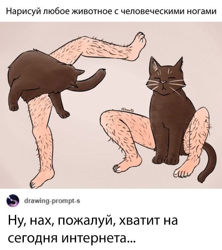 Хватит на сегодня интернет мем. Хватит интернета на сегодня мемы. Кот с человеческими ногами. Кот с человечьими ногами. Мемы с нарисованными котами.