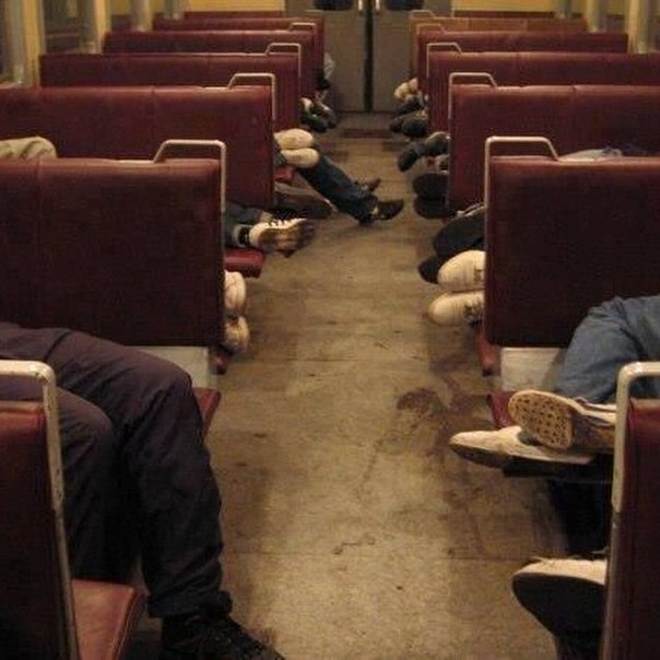 Классика собачьего футбольного выезда. Фанаты отдыхают. Яндекс.картики