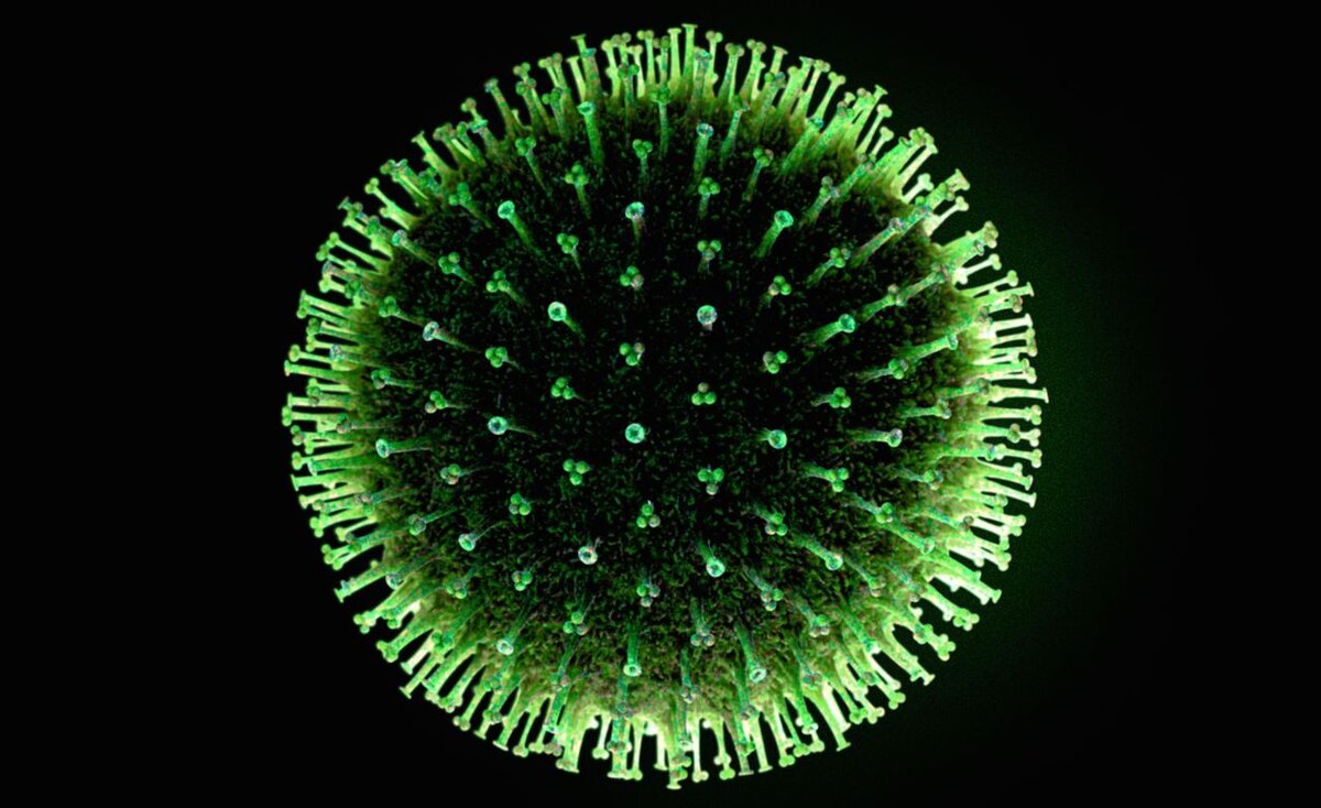 Оставайтесь дома!!!