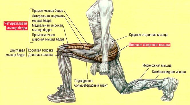 Топ упражнений для ног в домашних условиях (ФОТО)