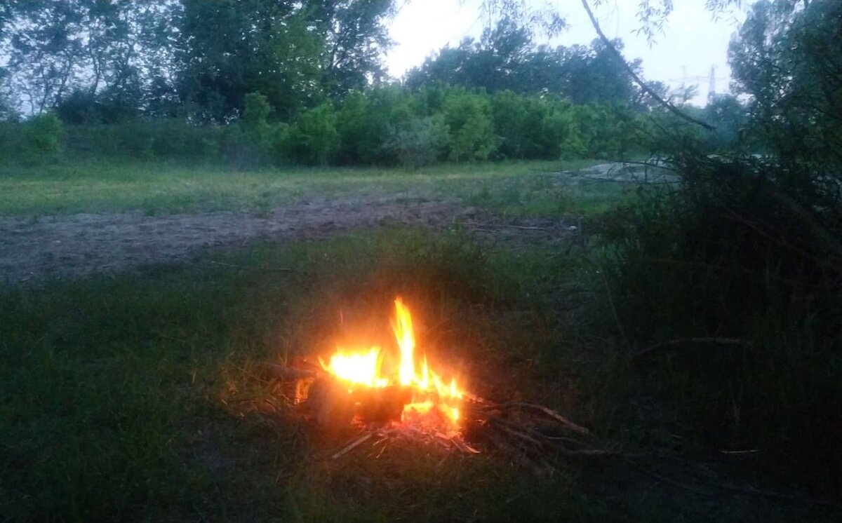 фото из личной коллекции автора 