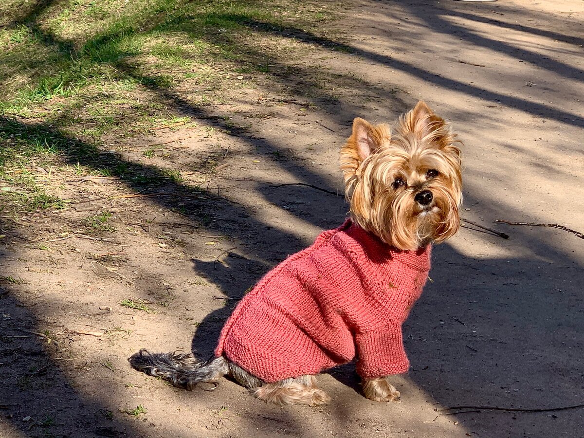 Наша Милаша