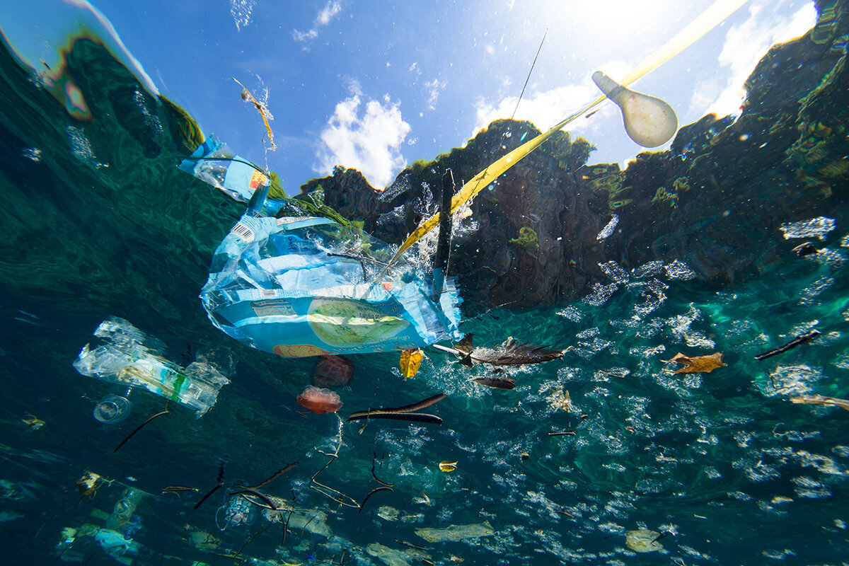 Источник:  https://yandex.ru/images/