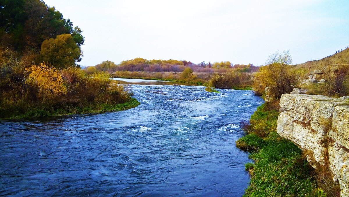 Река дон липецкая область