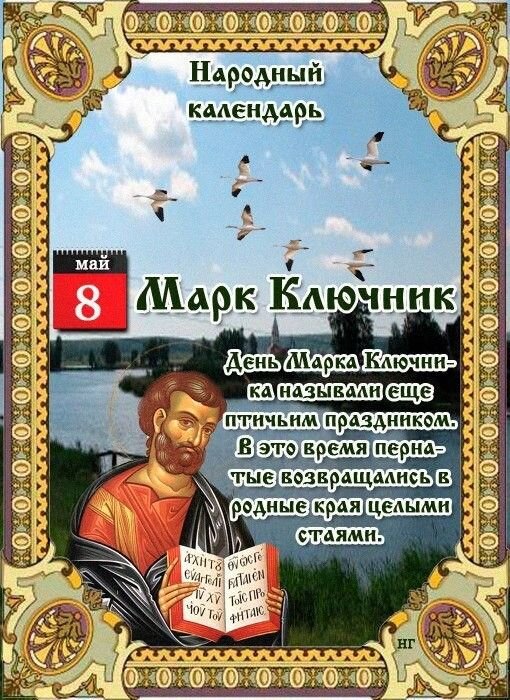Марк Ключник 

Дата в 2020 году:8 мая

Другие названия: Марков день; День Марка-ключника; птичье голодание; бабий праздник 
Церковное название: Апостола и Евангелиста Марка (Иоанна)
Значение: День памяти апостола от 70-ти Марка Александрийского, Евангелиста, епископа
Традиции: Посадка гречки; кормление перелетных птиц; гадание на судьбу по пению птиц

Народный праздник Марк Ключник отмечается 8 мая 2020 года (по старому стилю – 25 апреля). В православном церковном календаре это дата почтения памяти апостола от 70-ти Марка Александрийского, Евангелиста, епископа.

Святого называют «Ключником», так как верят, что у него хранятся ключи от неба, и только он может отомкнуть его и впустить в этот мир дождь. День также носит название «птичье голодание», потому что в этот период птицы начинают активно возвращаться из теплых стран на родину. Перелеты выматывают. Они возвращаются голодными и уставшими.

История

Марк Александрийский родился в Иерусалиме. Его дядей был апостол Варнава. С юных лет мальчика окружали христиане. Он был учеником апостола Петра. Марк построил первую Церковь в Египте и стал епископом города Александрии.

Затем он отправился проповедовать Евангелие. После путешествия по Африке Марк навестил своего учителя, который находился в заточении в Риме. Там он написал Евангелие для тех идолопоклонников, которые раскаялись и уверовали в истинного Бога.

По возвращении в Александрию Марк продолжил обращать на путь истинной веры всех желающих и поддерживать дух веры в христианах. Язычники, которые были против православной религии, решили его извести. Одним утром они ворвались в храм и бросили Марка в темницу. На следующий день его повели на суд. Святой скончался по дороге.

Традиции и обряды

В этот народный праздник люди молятся святому Марку и просят, чтобы он не допустил засухи, которая может погубить восходы. Также смотрят в небо и говорят присказку о том, что три обильных дождя в мае дадут три года урожая.

В этот день садят гречку.

Рассыпают по полям и дворам конопляное семя, чтобы прилетевшие из теплых краев голодные и уставшие птицы долго не искали еду.

Гадают на судьбу, вслушиваясь в пение птиц.