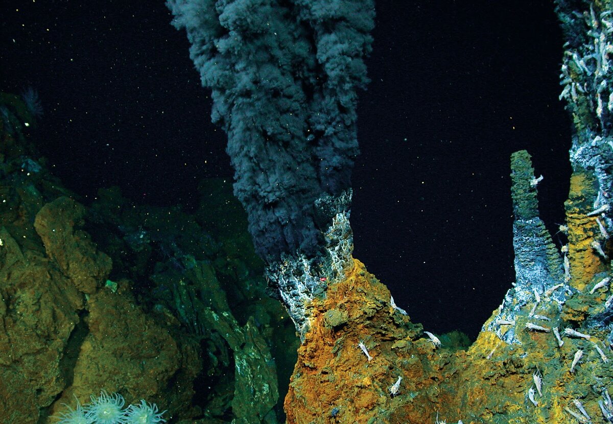 Источник фото: https://www.rock-cafe.info/suggest/black-smoker-626c61636b.html