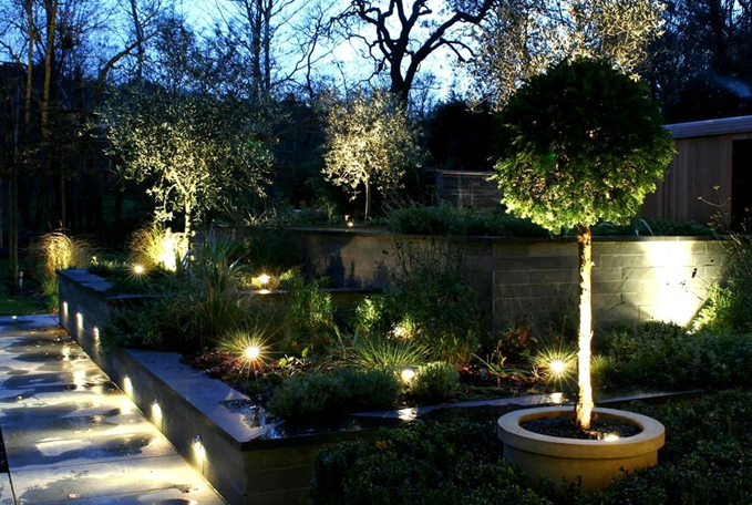 фото из интернета