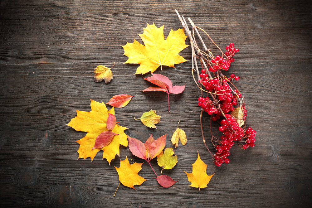 Автор: Africa Studio, фото приобретено на сайте www.shutterstock.com