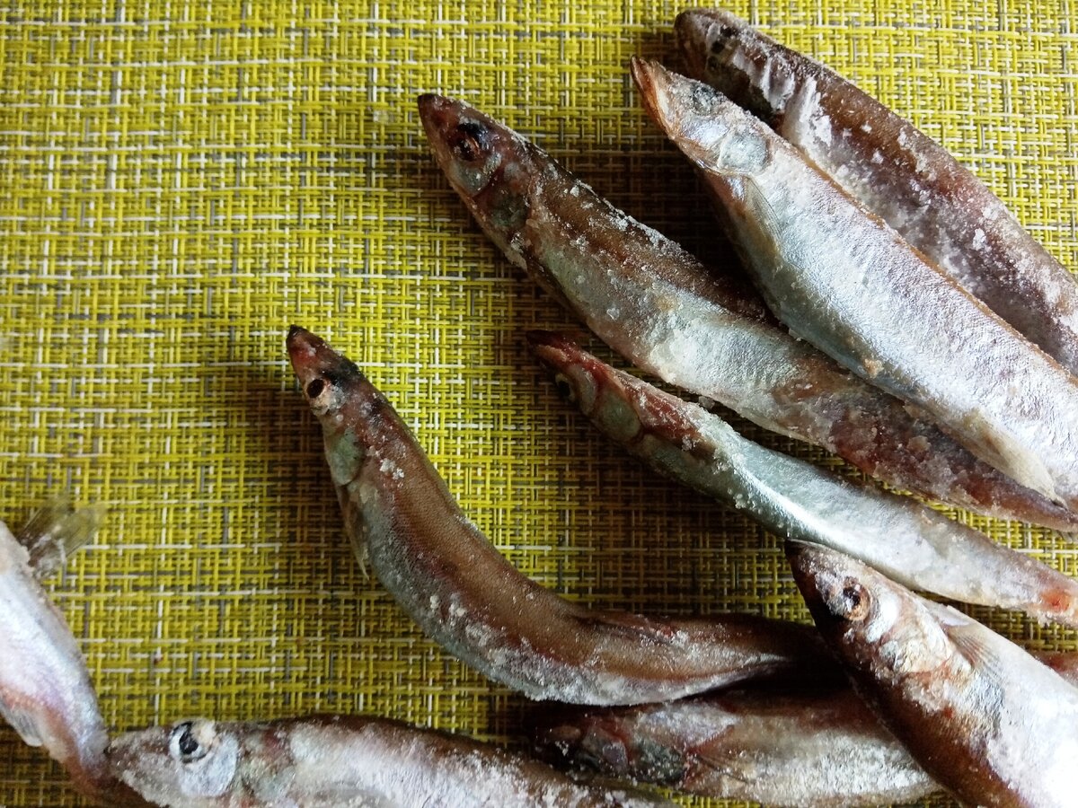 Новый "урожай"