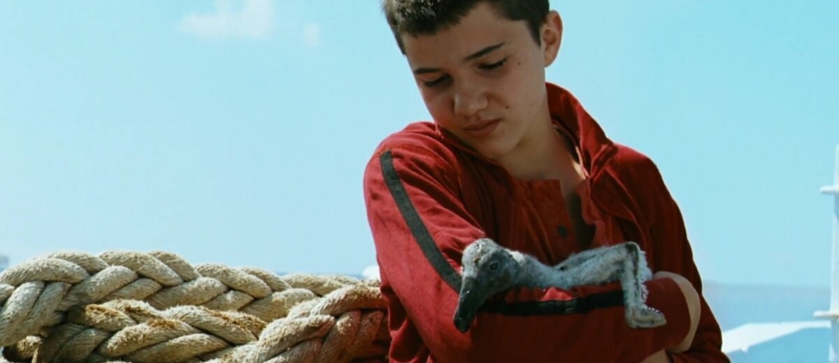 Кадр из фильма "Пеликан" 