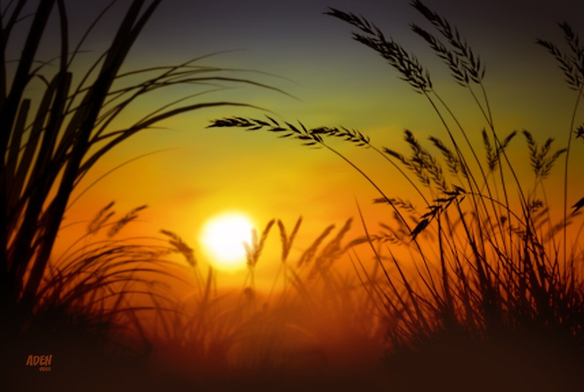 из личного Архива 