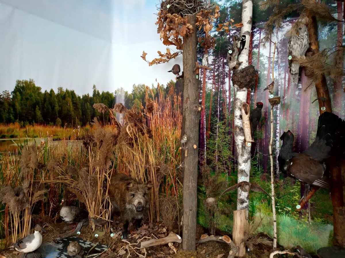 Фото: Мосприрода