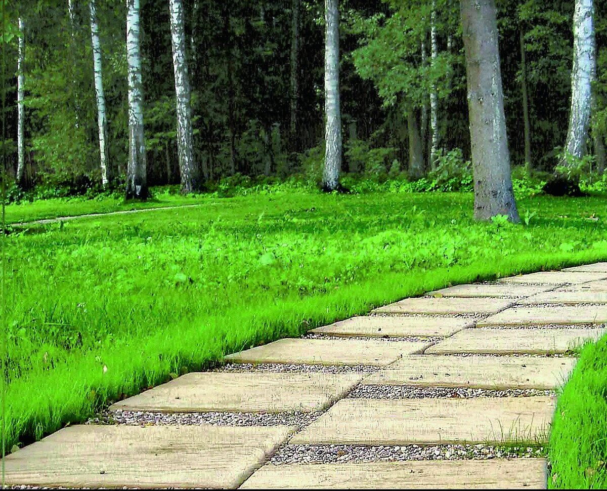 Дорожка из "деревянных дощечек" гармонично вписывается в садовый ландшафт. Эти «дощечки», выполнены из бетона (Кamrock, Россия).