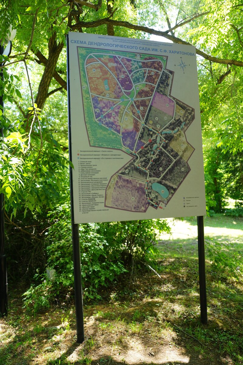 Карта сада находится у входа 