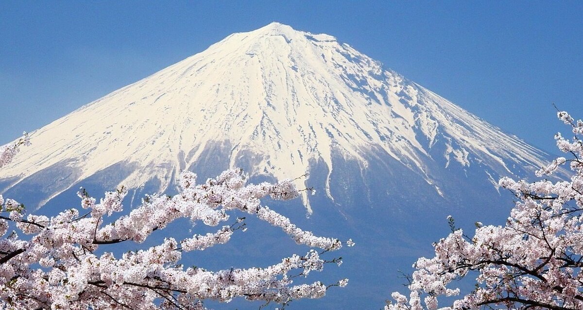 Серия профессиональных кухонных зонтов названа в честь идеальной по форме горы, символа Японии — горы Фудзи. Символический зонтик, который накрывает целую страну. В Японии её уважительно называют Фудзисан, потому что это не просто гора, а символ, видимый постоянно большинству населения Японии. Также и наши кухонные зонты видны из любого уголка кухни.