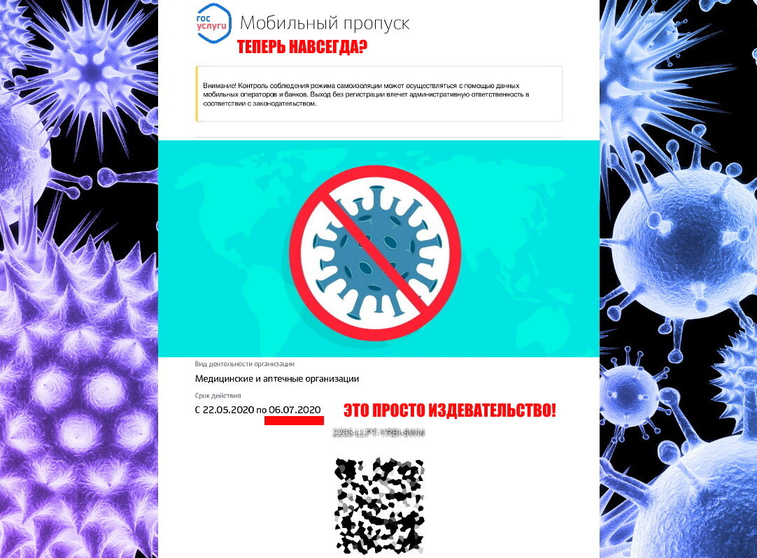 Один из пропусков со сроком действия до 6 июля 2020 года.