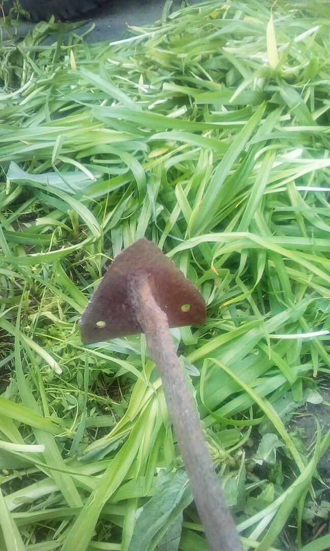 Фото из личного архива