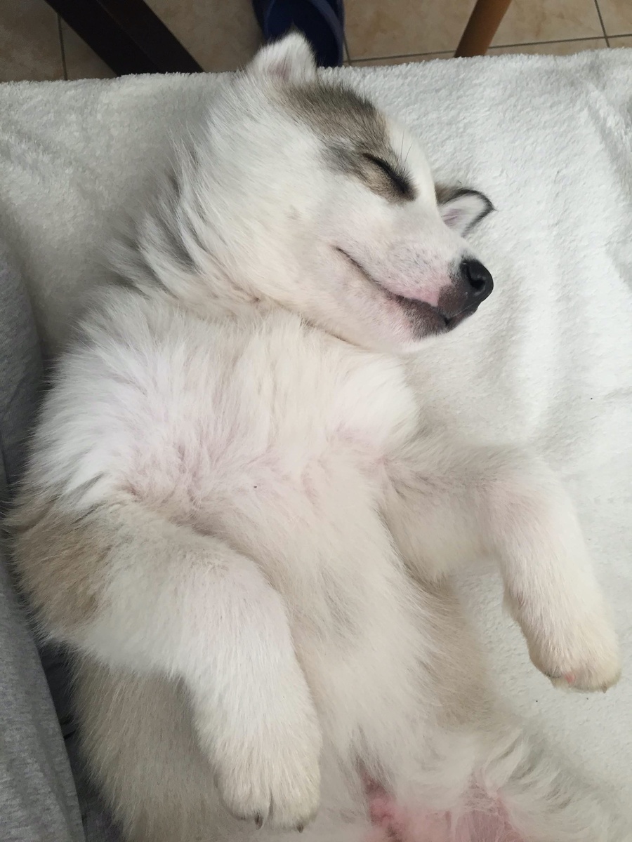 Сладко как спит =)