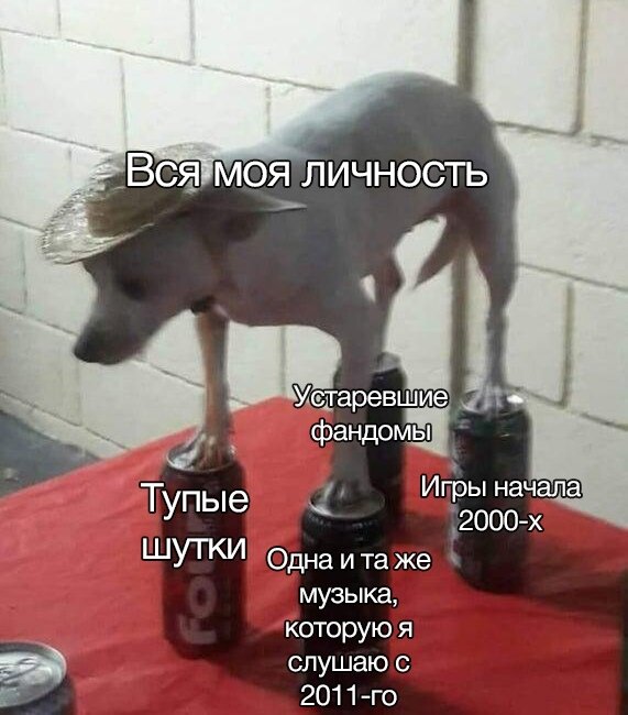 все према про меня думаю стои сходить 