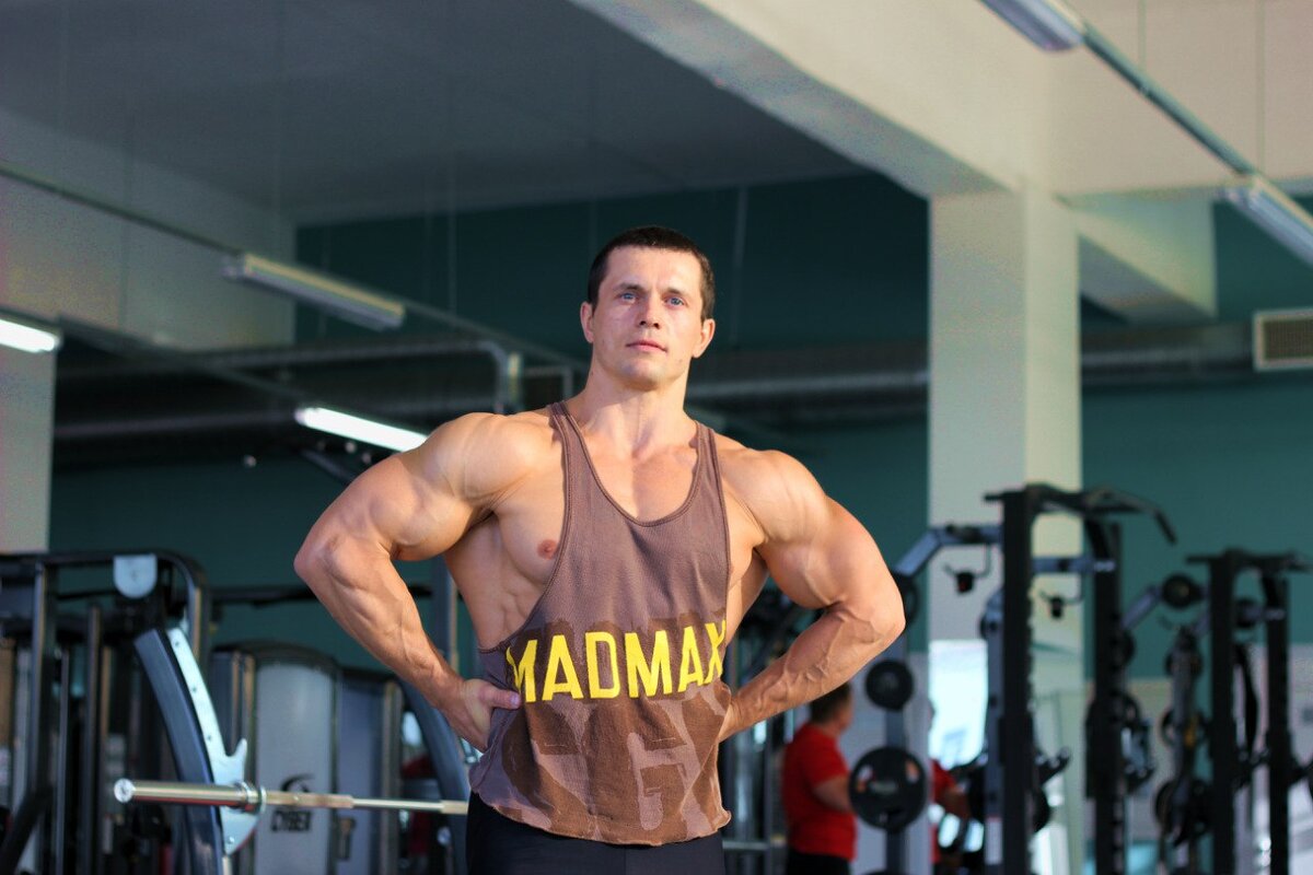 Шредер бодибилдер