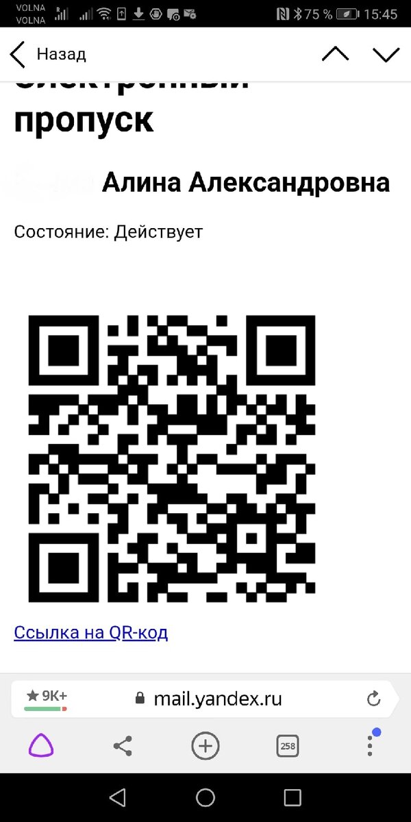 Вот такой электронный пропуск я предъявляла военным.