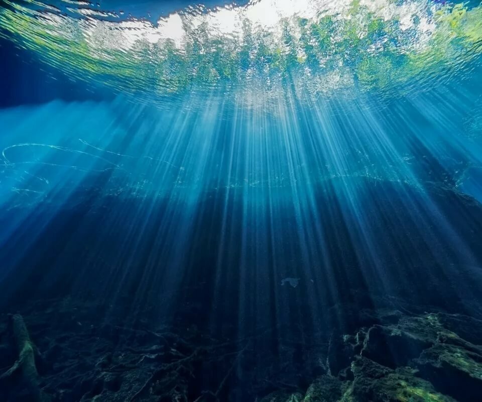 Звуковая волна под водой. Океан под водой. Океаны. Глубина. Море глубина. Дно моря.