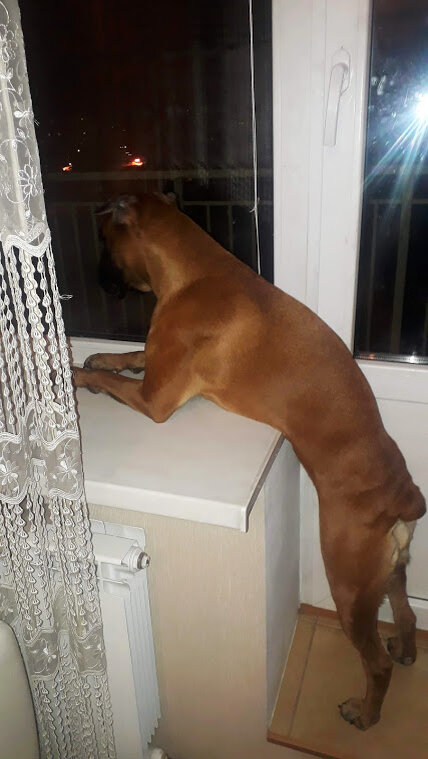 Личный архив